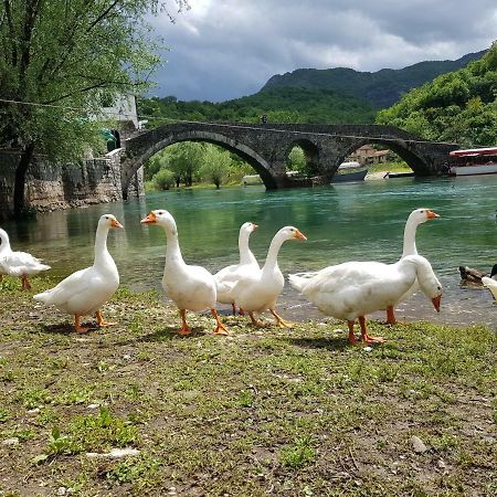 Apartman Jovicevic Pavle Rijeka Crnojevića Dış mekan fotoğraf