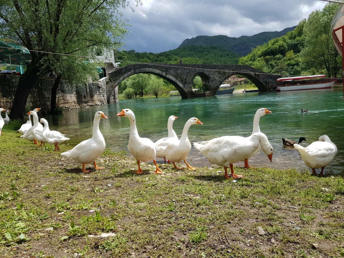 Apartman Jovicevic Pavle Rijeka Crnojevića Dış mekan fotoğraf